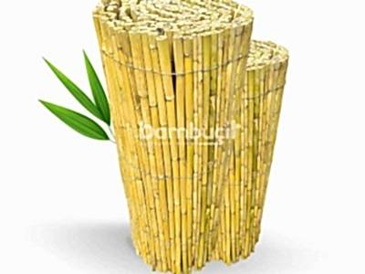 Bambu Çit