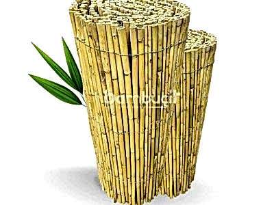 Bambu Çit