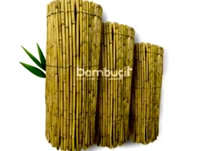 Bambu Kamış