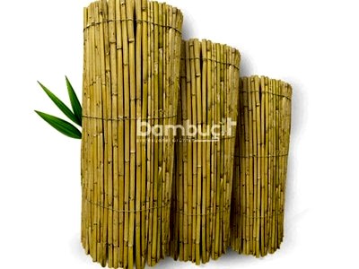 Bambu Çit