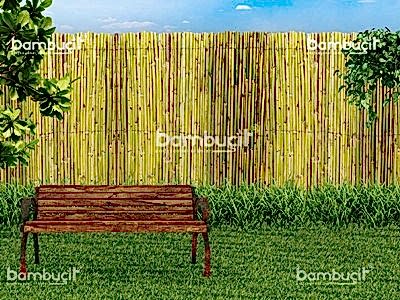 Bambu Çit