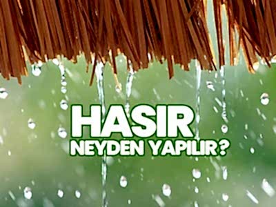 Hasır Neyden Yapılır?