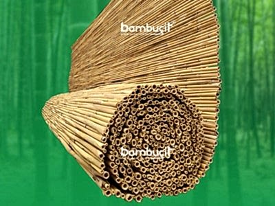 Kamış Nedir?
