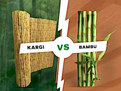 Bambu ve Kargı Arasındaki Farklar Nelerdir?