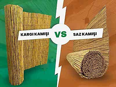 Kargı ve Saz Kamışı Arasındaki Farklar Nelerdir?